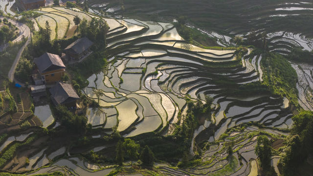 娄底 紫鹊界 梯田