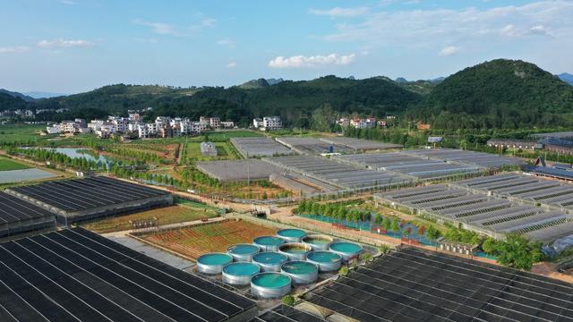 养鱼  渔业  增收  工业化