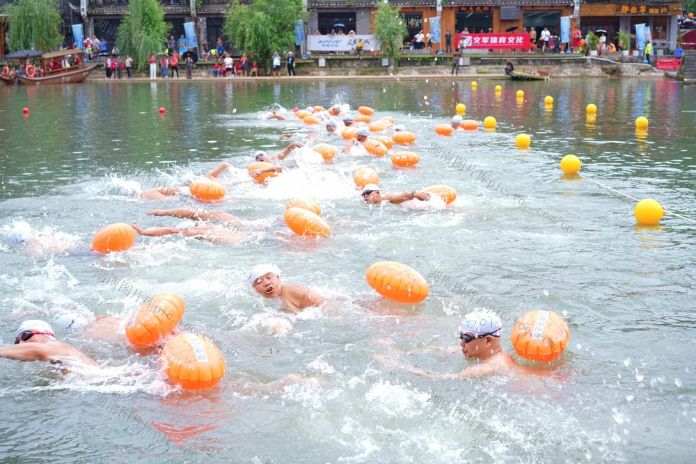 游泳 比赛 古城 生态