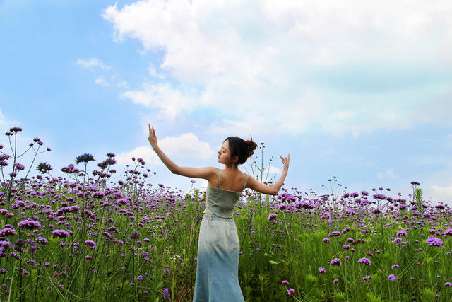 洋湖 花开