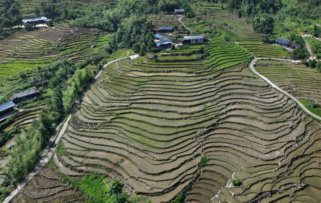 层层梯田 生机盎然