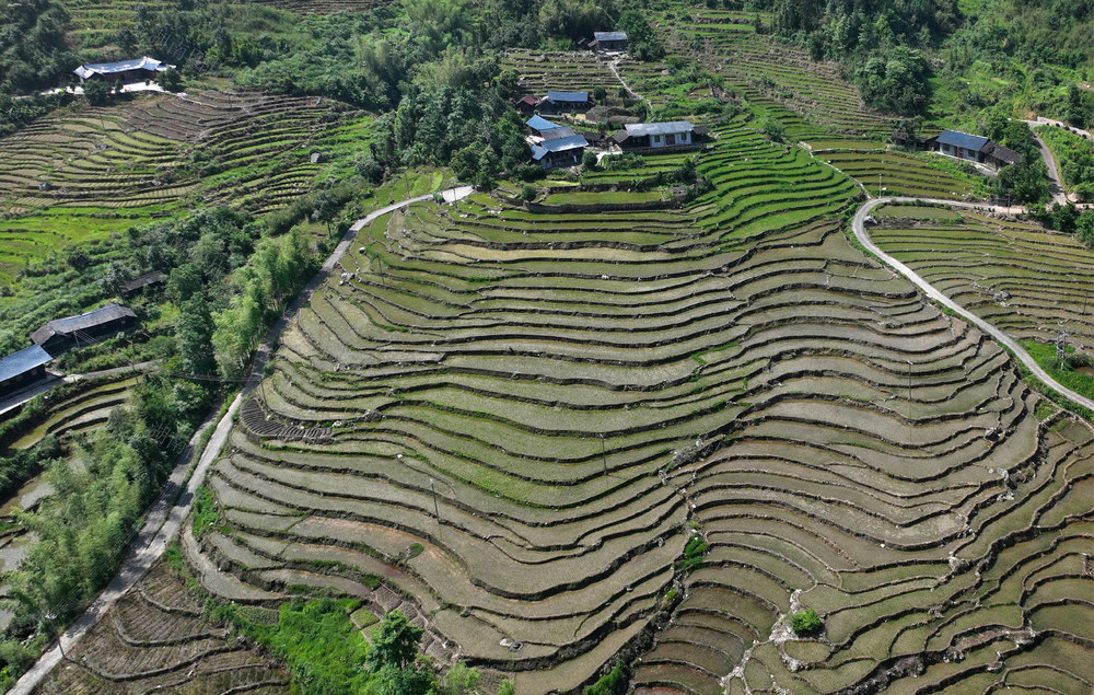 层层梯田 生机盎然