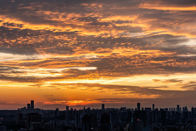 朝霞   滿天