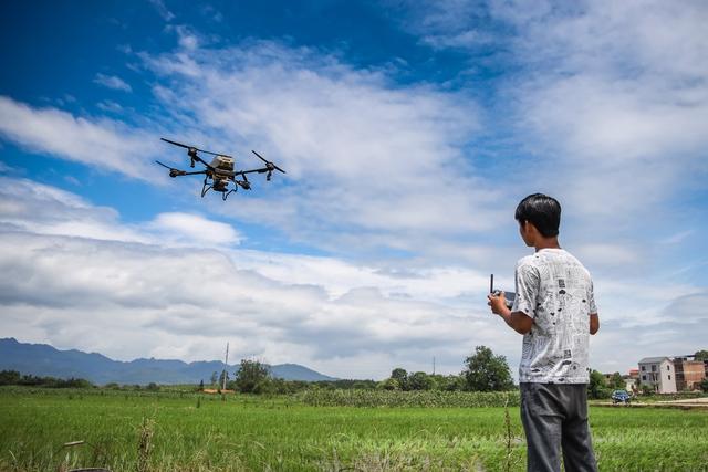 无人机 施肥 管护 水稻 粮食 田间 农技人员