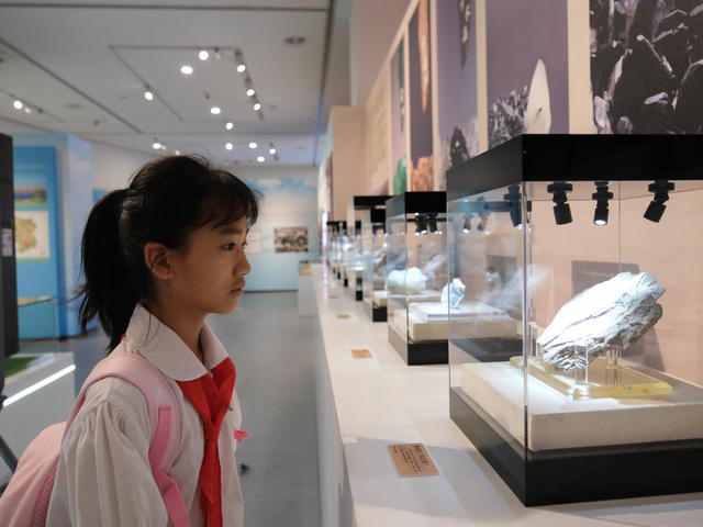 总体，国家，安全观，创新引领，10周年，