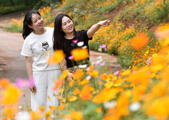 嘉禾：田园美引游人