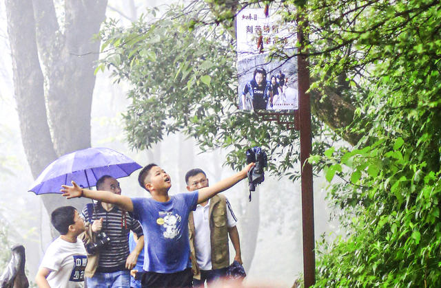 六一儿童节  湖南  郴州市  天下第十八福地——苏仙岭  亲子游 
 定向运动  体验大自然  孩子  
