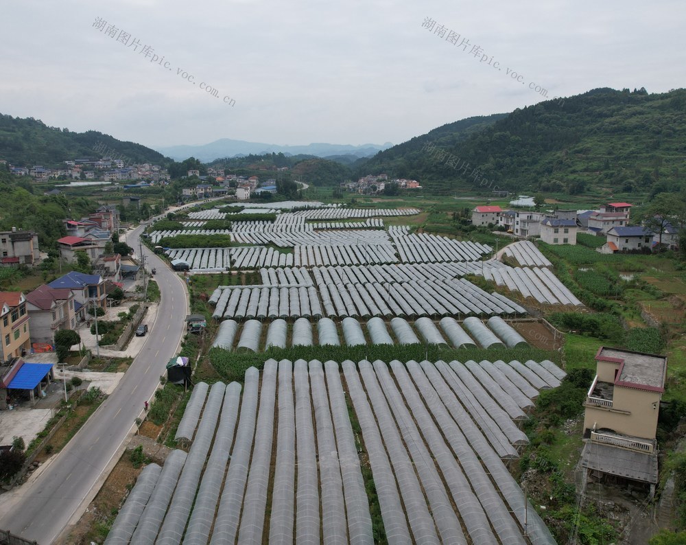     产业强     农民富   