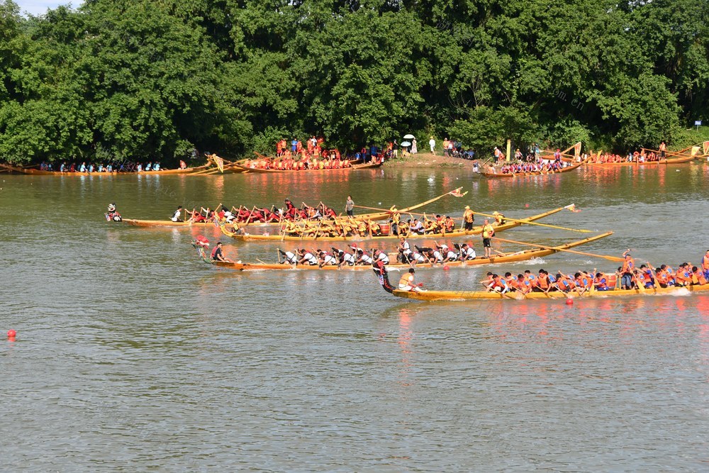 龙舟竞渡迎端午