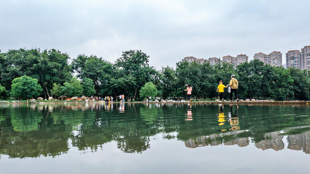湿地美景  休闲