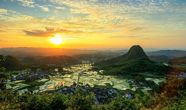 水稻、鲤鱼、油菜