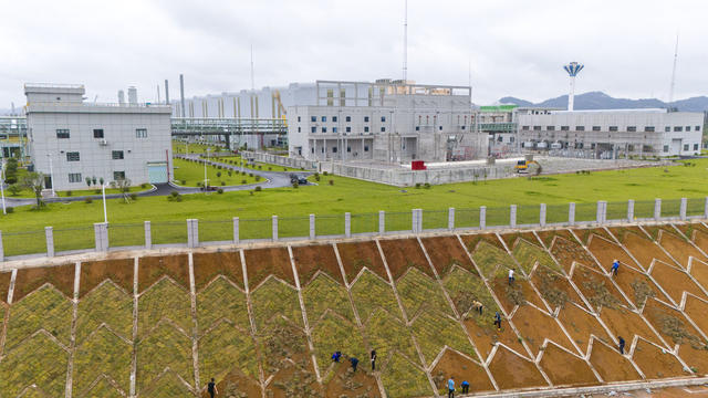 娄底 绿化 产业园