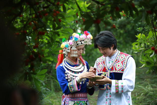 杨梅节
采摘游
民族特色