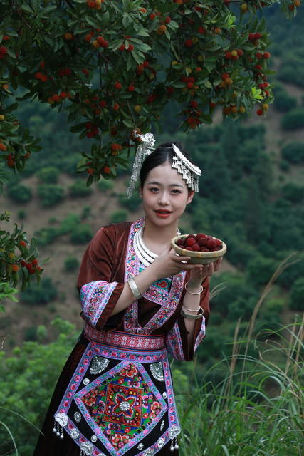 杨梅节
采摘游
民族特色
