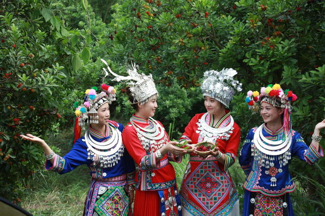 杨梅节
采摘游
民族特色