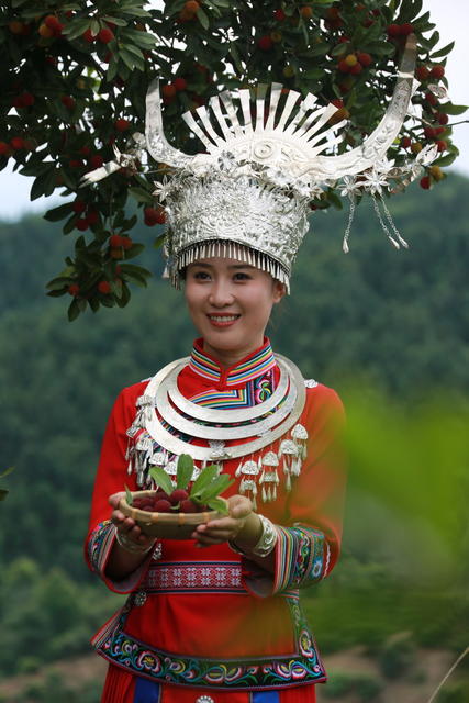 杨梅节
采摘游
民族特色