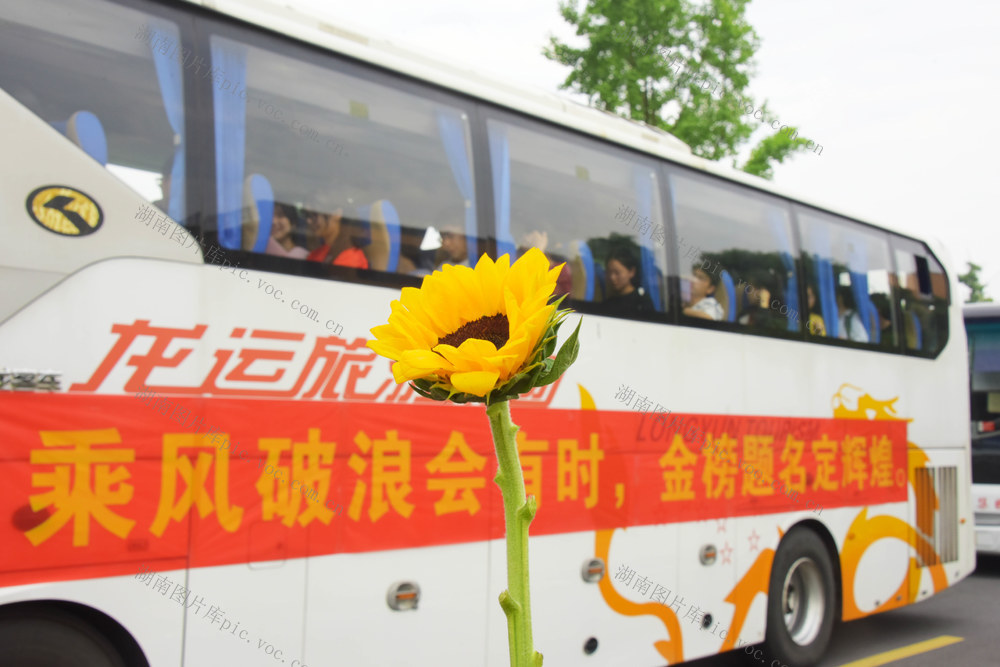 高考  学子  送考车队  金榜题名 
 一举夺魁