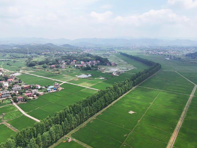 和美  乡村  风景  田园  自然  旅游  画卷