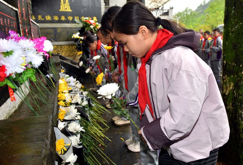 清明 英灵 祭奠献花 青少年