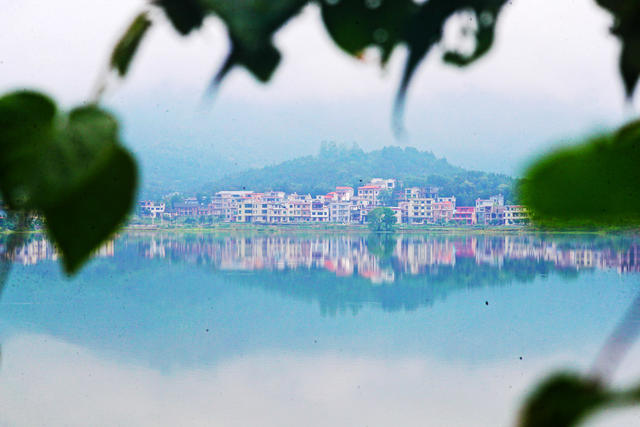 水乡  云雾  美景  江南