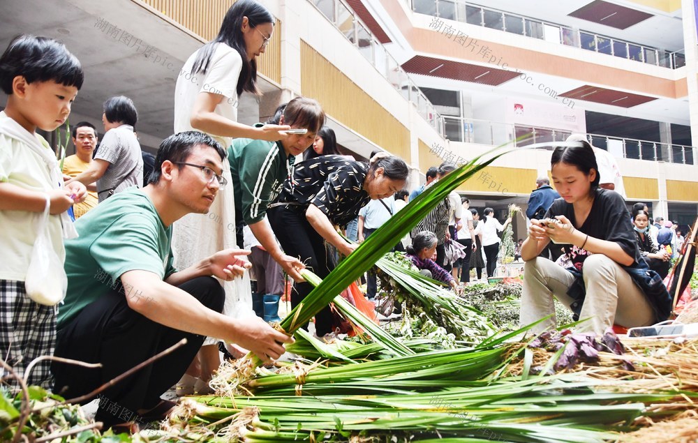 插艾草 挂菖蒲 过端午