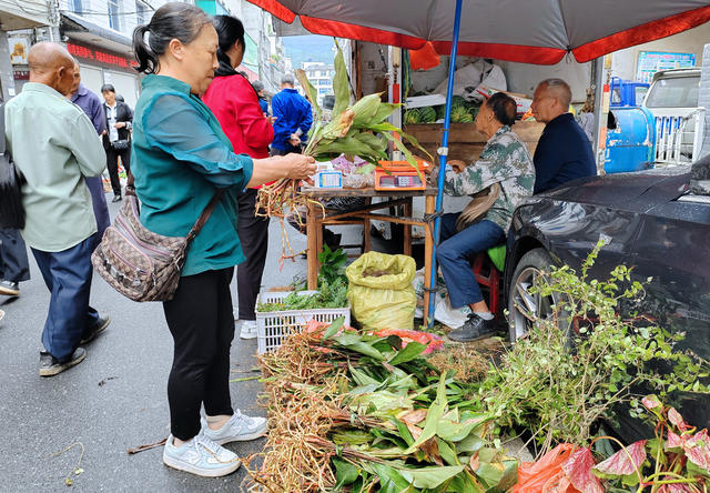 湖南桂东 草药飘香 端午 家家户户 集市