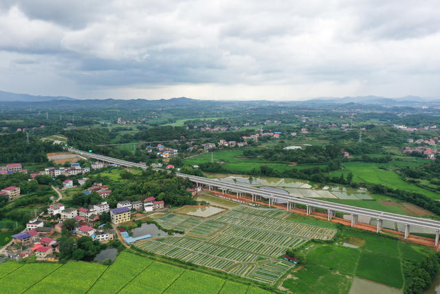 高速  公路  乡村  经济  交通  振兴