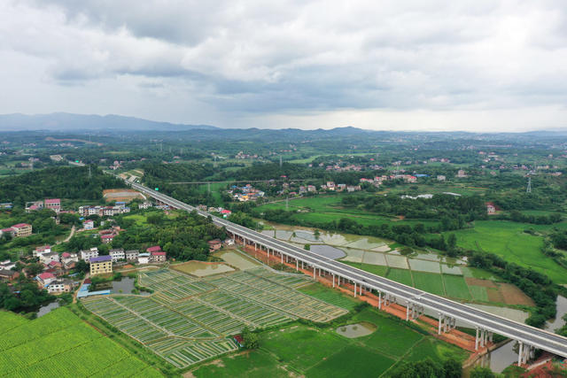 高速  公路  乡村  经济  交通  振兴