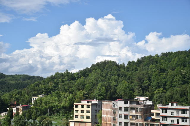 夏日乡村 美丽如画