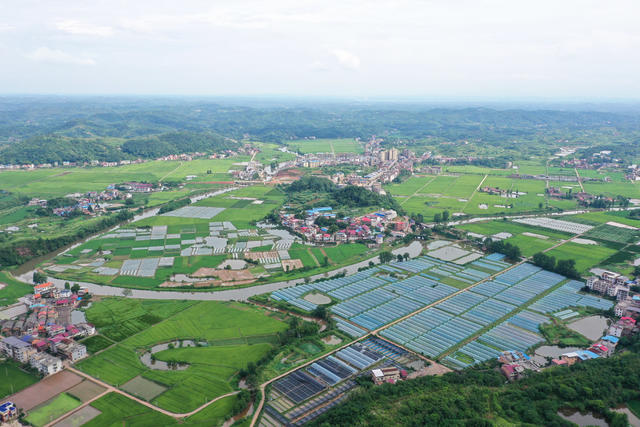 和美  乡村  乡村振兴  村庄  水稻  小河  美丽乡村