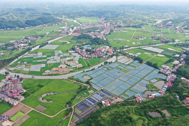 和美  乡村  乡村振兴  村庄  水稻  小河  美丽乡村