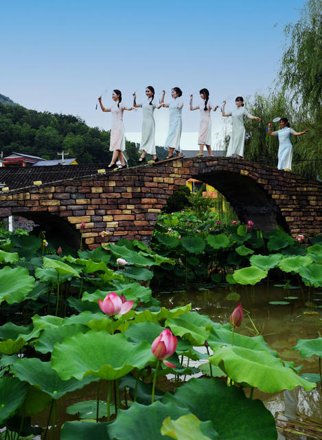 荷花 莲蓬 乡村  产业 游客