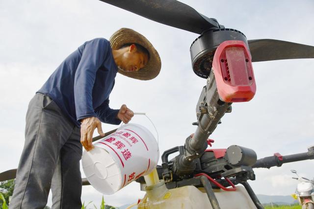 “飞防”管理夺丰收