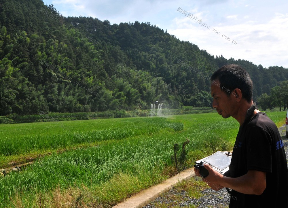 防治 飞防 作业
