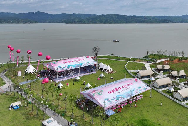 节会搭台 杨梅畅销