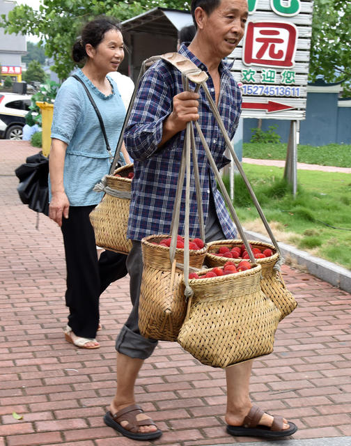 节会搭台 杨梅畅销
