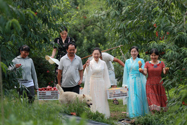 乡村 果园 游客 商标 采摘 发展 产业链

