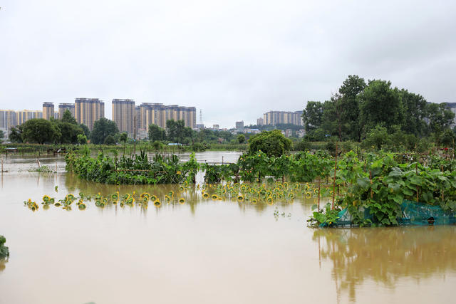 湖南邵东  救援  洪水  暴雨  转移  受困  群众