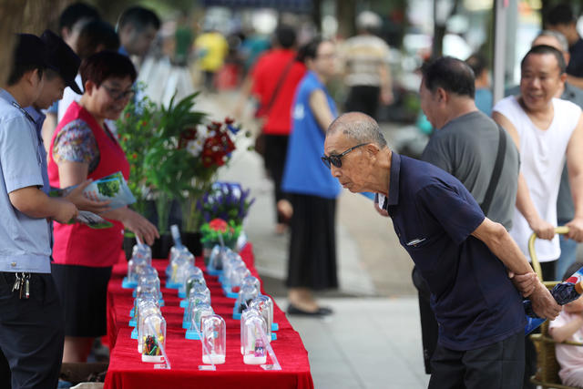 国际禁毒日 禁毒宣传活动 识毒防毒拒毒 远离毒品 珍爱生命