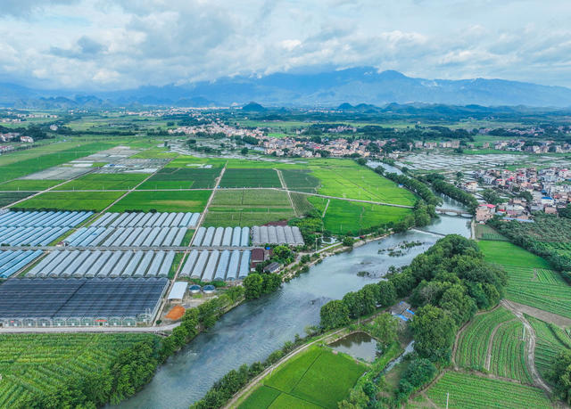 蔬菜
道县
田园