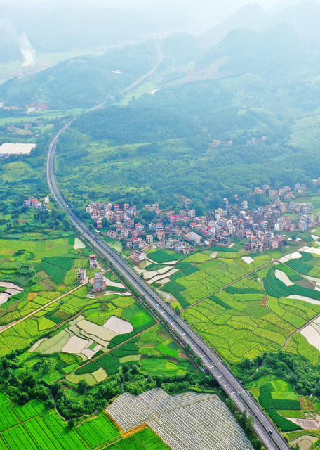 嘉禾：路畅景美