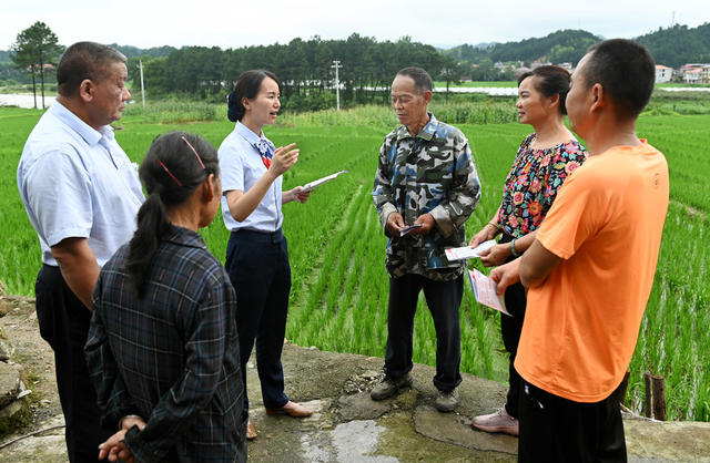 金融  金融知识  乡村 金融知识下乡 银行 宣讲  防范金融风险  群众 农村