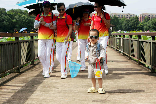 南湖公园  荷花盛开