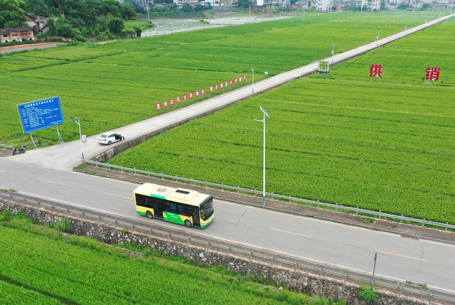 嘉禾：绿色公交惠民众