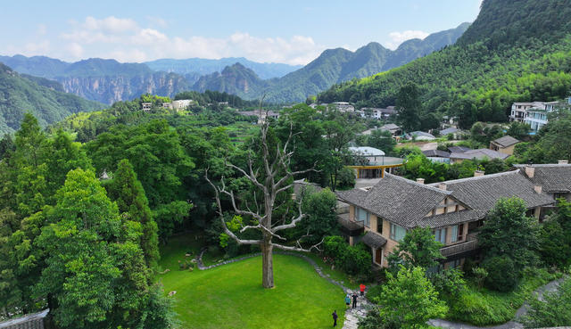 张家界 生态 农村 田园
