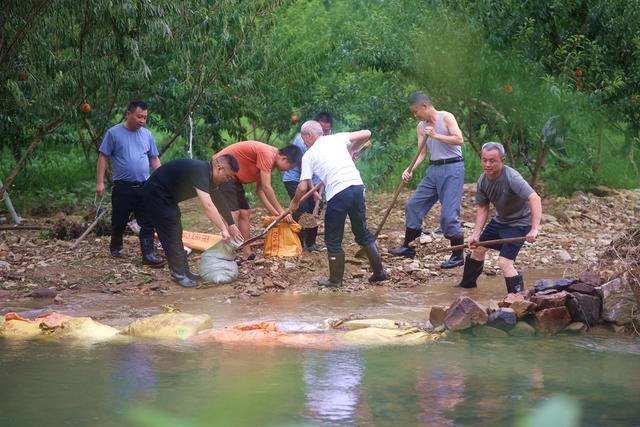 防汛、党员、志愿者、抗洪、服务群众