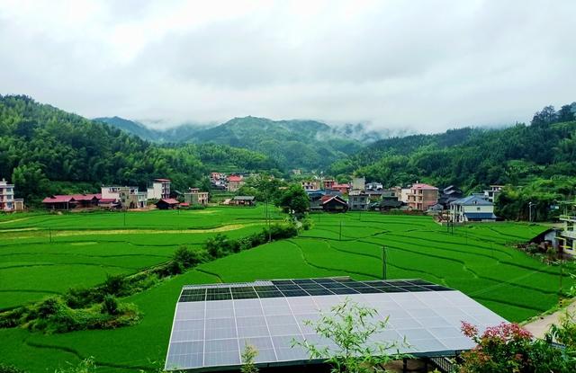 绿色  深冲 如画