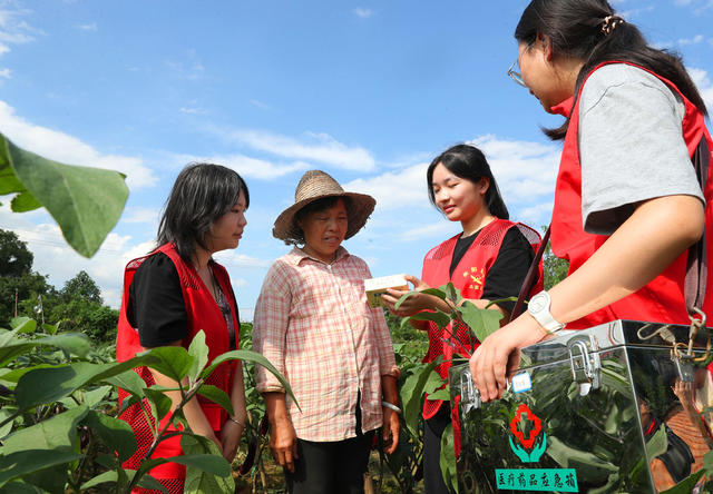 大学生 三下乡 安全 防溺水 送医送药 田间地头