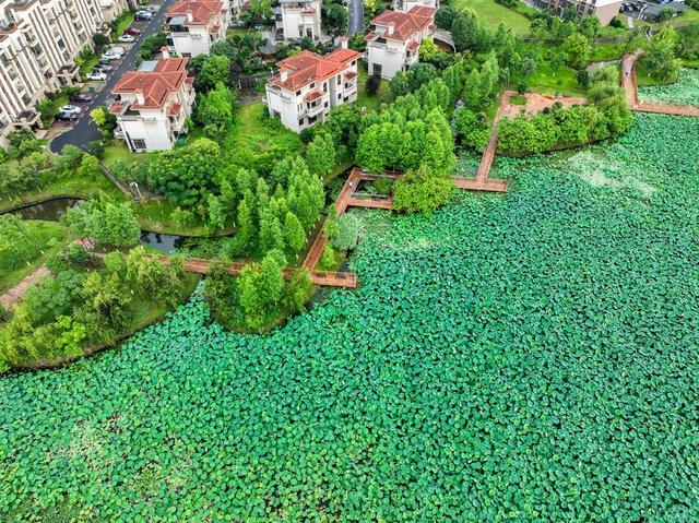 公园
城市
口袋公园
道县