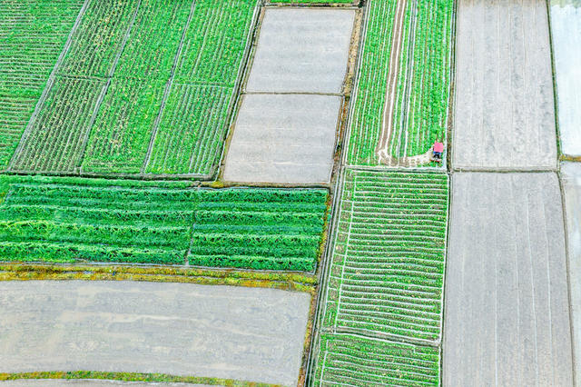 粮食生产  晚稻备耕  农机